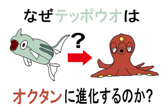 ポケモン　モンコレ　初期　テッポウオ　オクタン ポケモン モンコレ 初期 テッポウオ オクタン マンタイン フィギュア